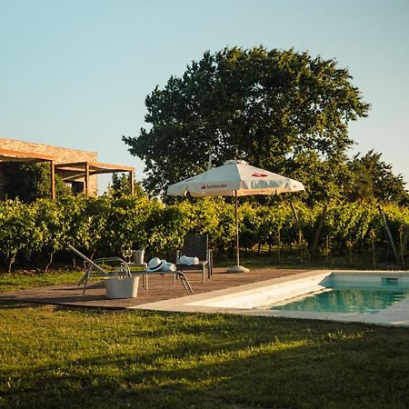 Pizzorno Lodge & Wine Progreso المظهر الخارجي الصورة