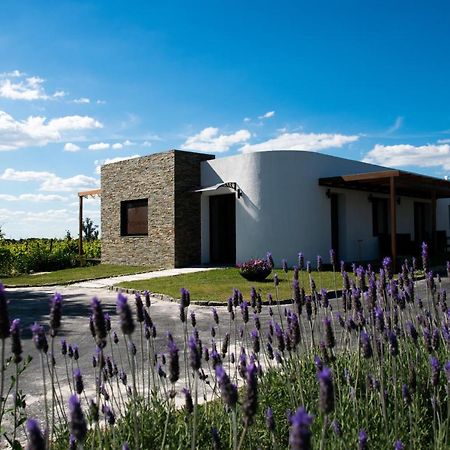 Pizzorno Lodge & Wine Progreso المظهر الخارجي الصورة