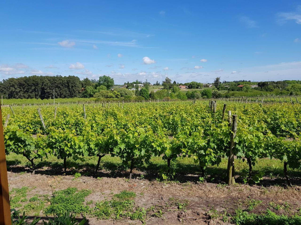 Pizzorno Lodge & Wine Progreso المظهر الخارجي الصورة