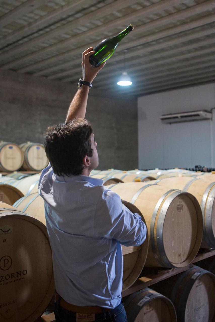 Pizzorno Lodge & Wine Progreso المظهر الخارجي الصورة