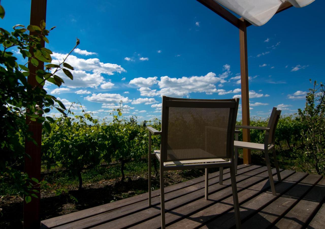 Pizzorno Lodge & Wine Progreso المظهر الخارجي الصورة
