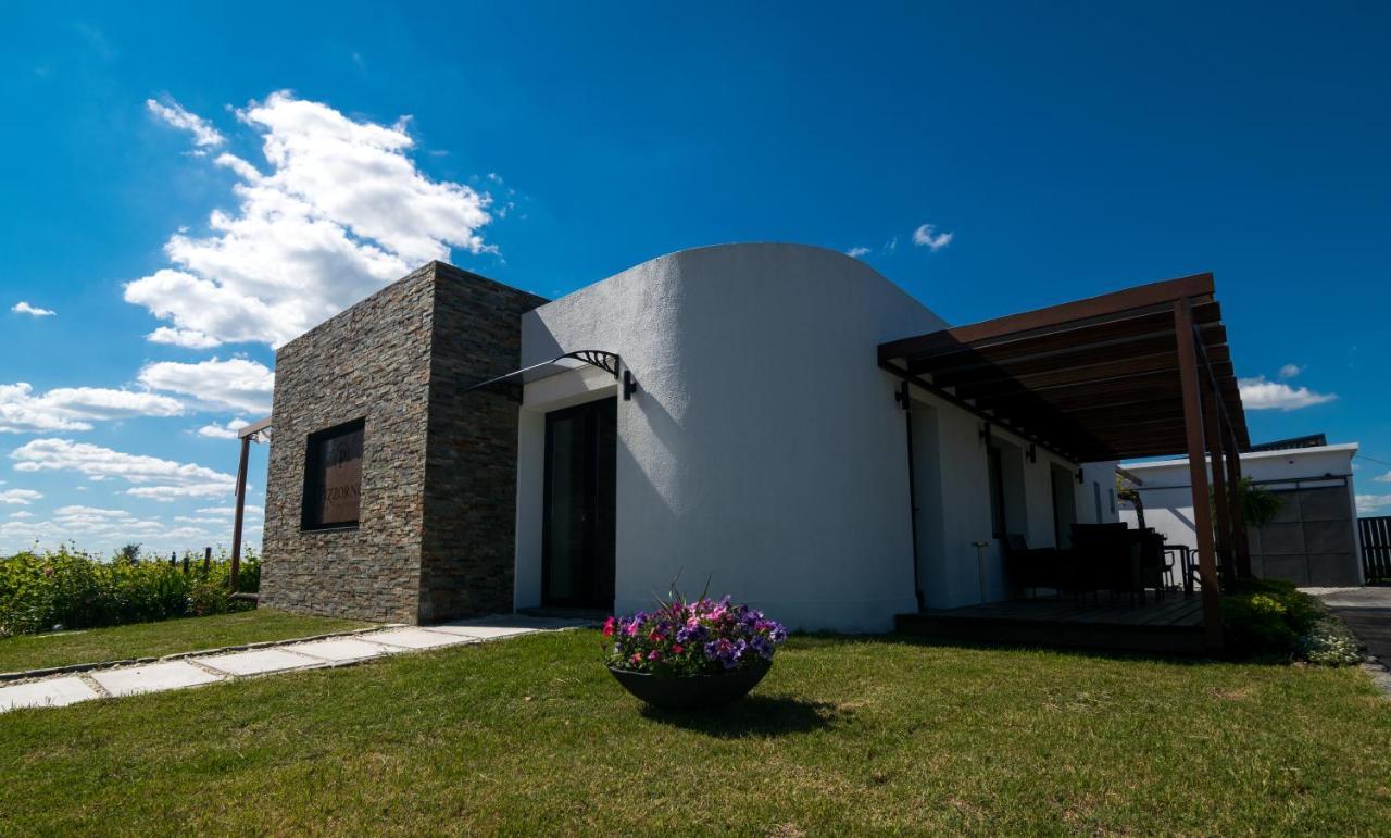 Pizzorno Lodge & Wine Progreso المظهر الخارجي الصورة